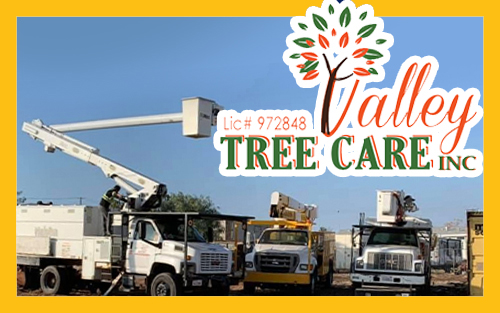 Valley Tree Care Fire Regulation and Hillside Cleanup Services in Los Angeles